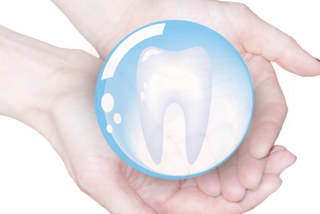 molar anatomy